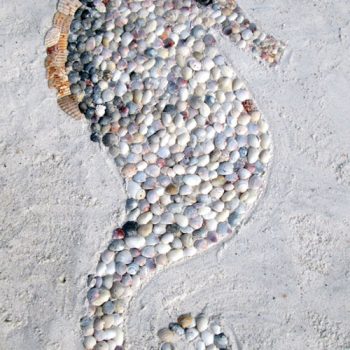 Shell Beach Art