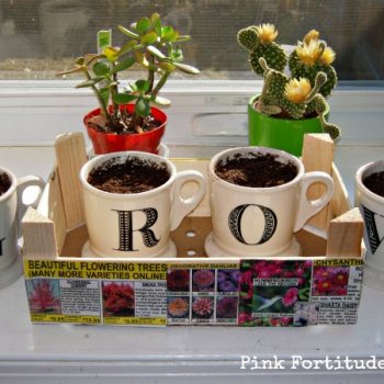Cutie Crate Upcycle to Herb Garden