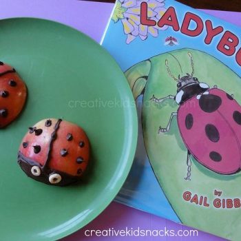 Ladybug Apples