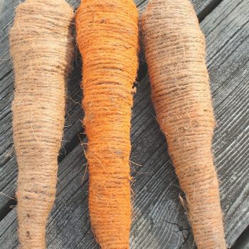 Twine Carrots