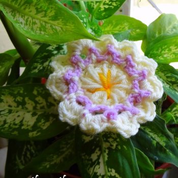 Funky Flower Crochet Pattern