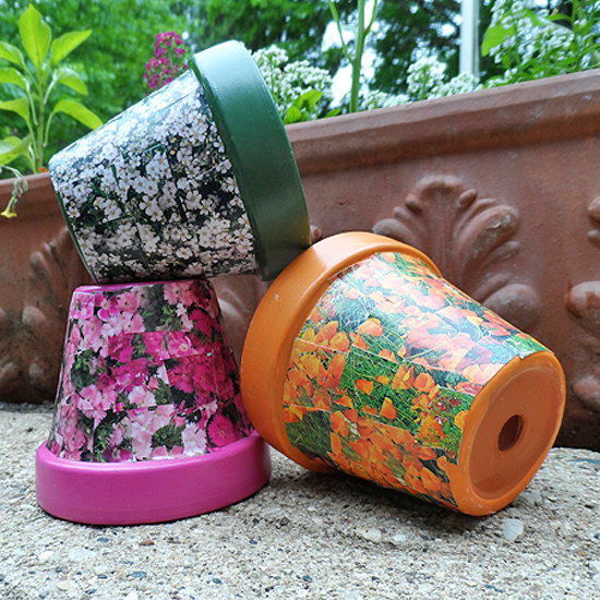 Seed Packet Decoupage Clay Pots Fun Family Crafts