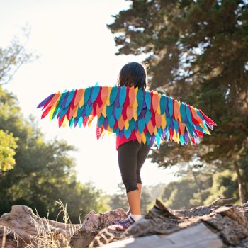 Rainbow Bird Wing Costume