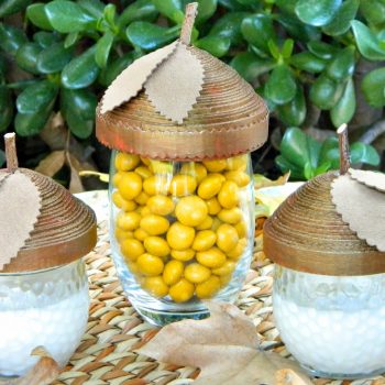 Acorn Dish Toppers