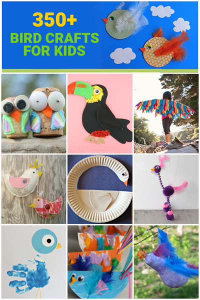 preschool bird crafts activities