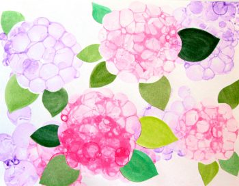 Bubble Paint Flower Hydrangeas Fun Family Crafts   Bubble Paint Hydrangea Apiece Of Rainbow 11 350x272 