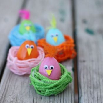 Colorful Chicks in Nests