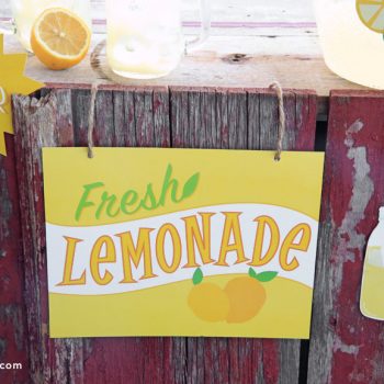 Printable Lemonade Stand Signs