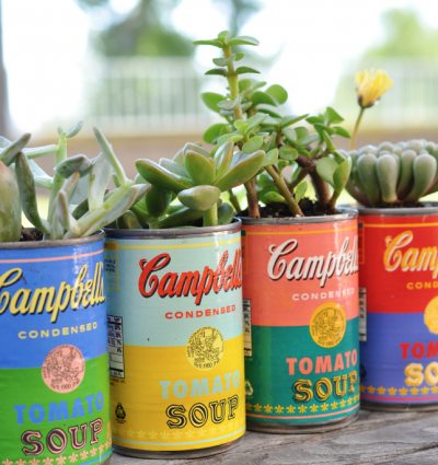 Soup Can Succulent Planters