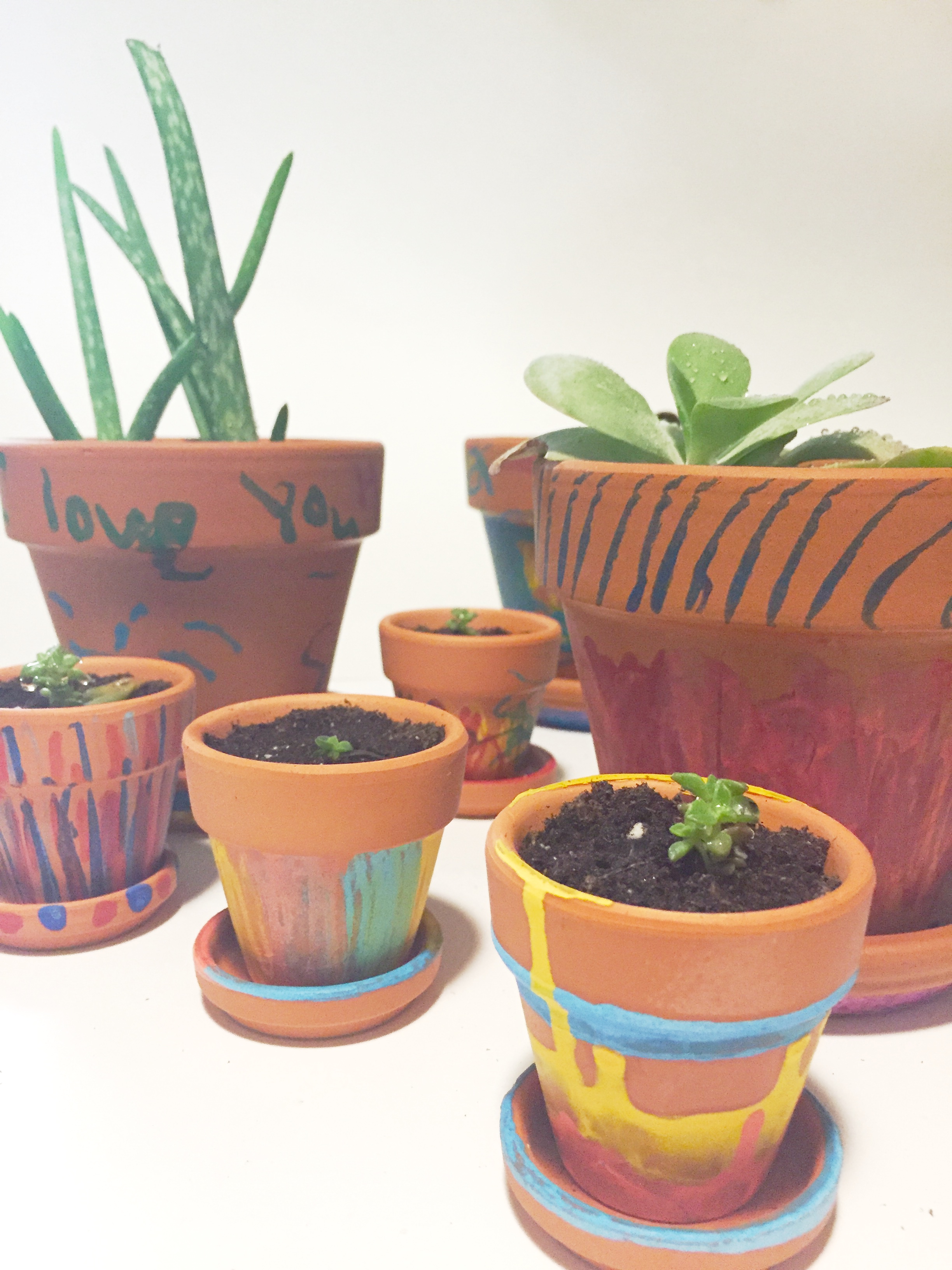 Melting plant pots