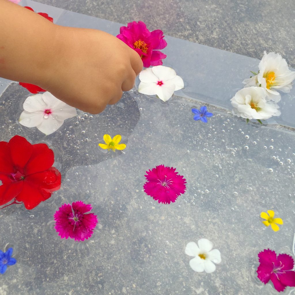 This floating flower sensory bin is a fun free toddler activity! From picking flowers to experimenting through play-based learning your kid will enjoy this outdoor activity!