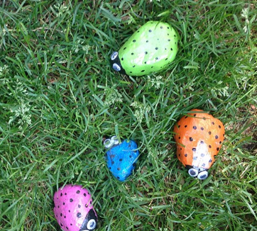 Painted Stone Bugs