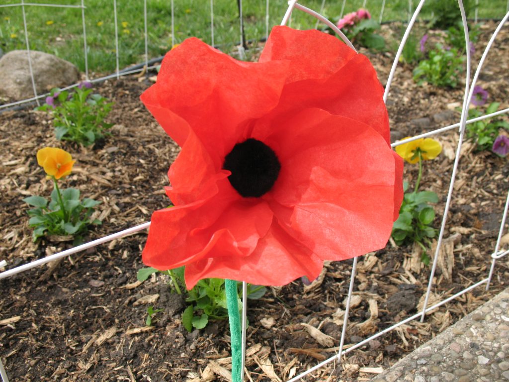Coffee Filter Poppy Fun Family Crafts