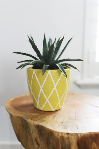 Pineapple Plant Pot 