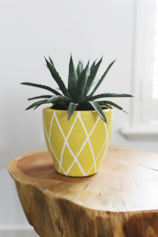 A spiky succulent in a pineapple pot