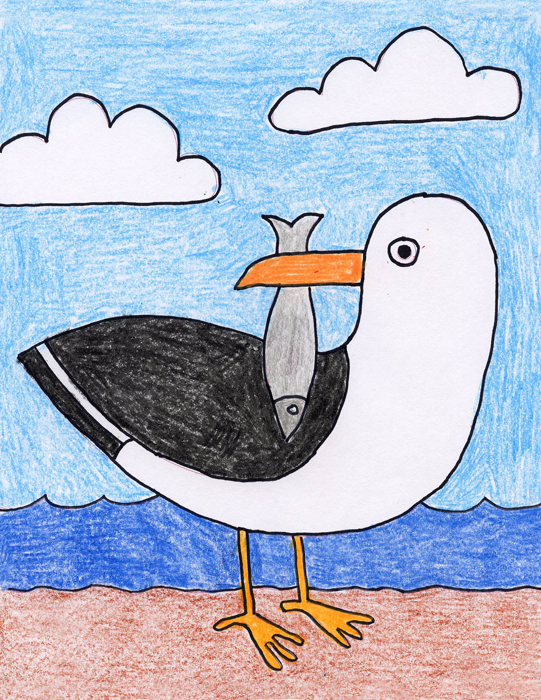 Seagull Drawing Fun Family Crafts