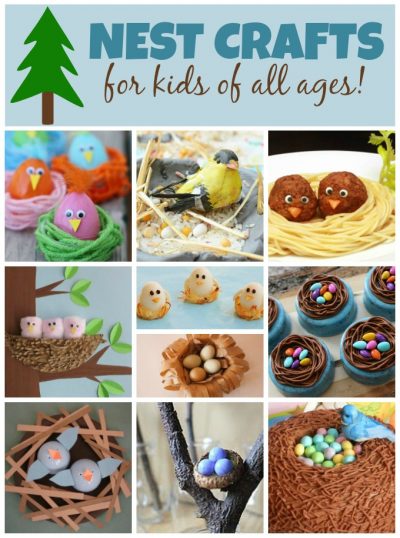 Bird Nest Crafts for Kids