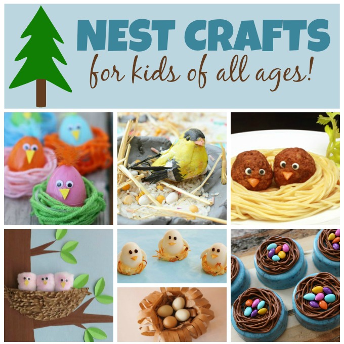 baby birds nest preschool craft