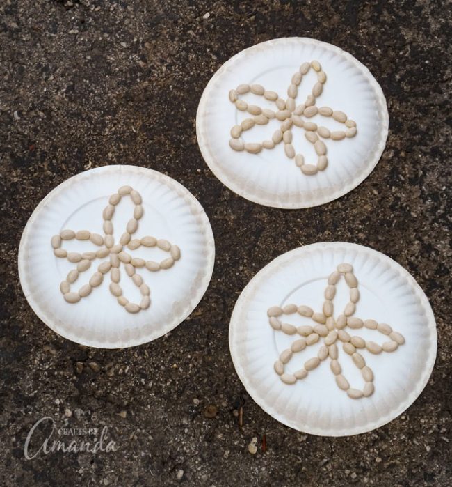 Paper Plate Sand Dollars Fun Family Crafts