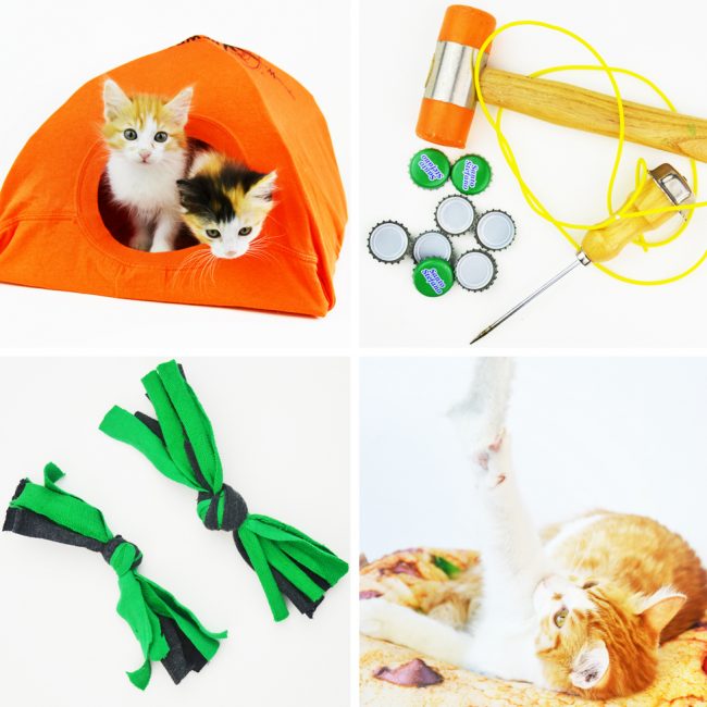 Quick and Easy Recycled Cat Toys | Fun Family Crafts