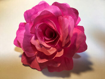 Paper Flower | Fun Family Crafts