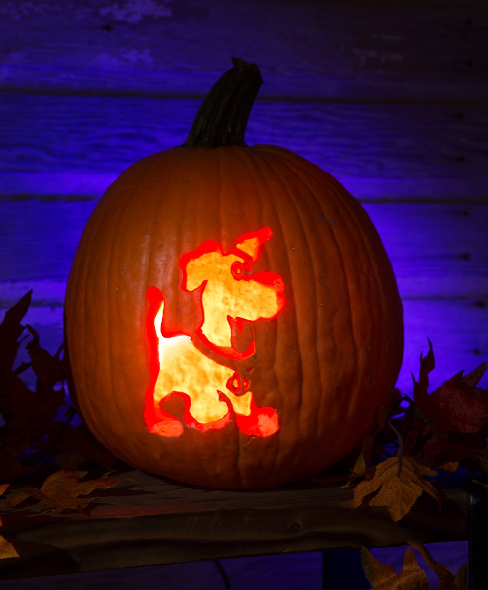 Halloween Pop Culture Pumpkin Stencils Fun Family Crafts