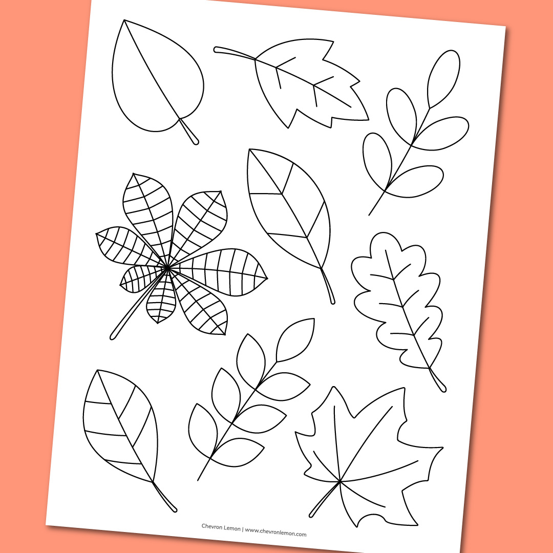 fall leaves coloring pages for preschoolers